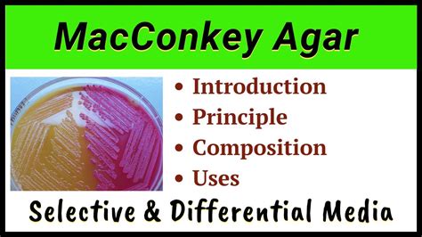 macconkey agar ingredients|is macconkey agar defined.